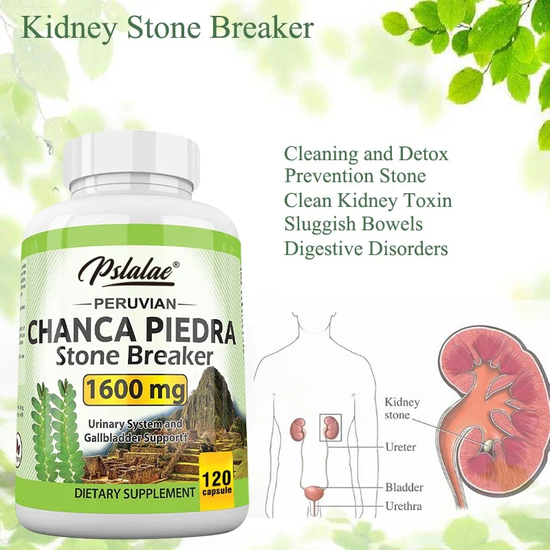 Chanca Piedra Capsules 1600mg Kidney Stone Crushing Urinary Tract Support Non-GMO