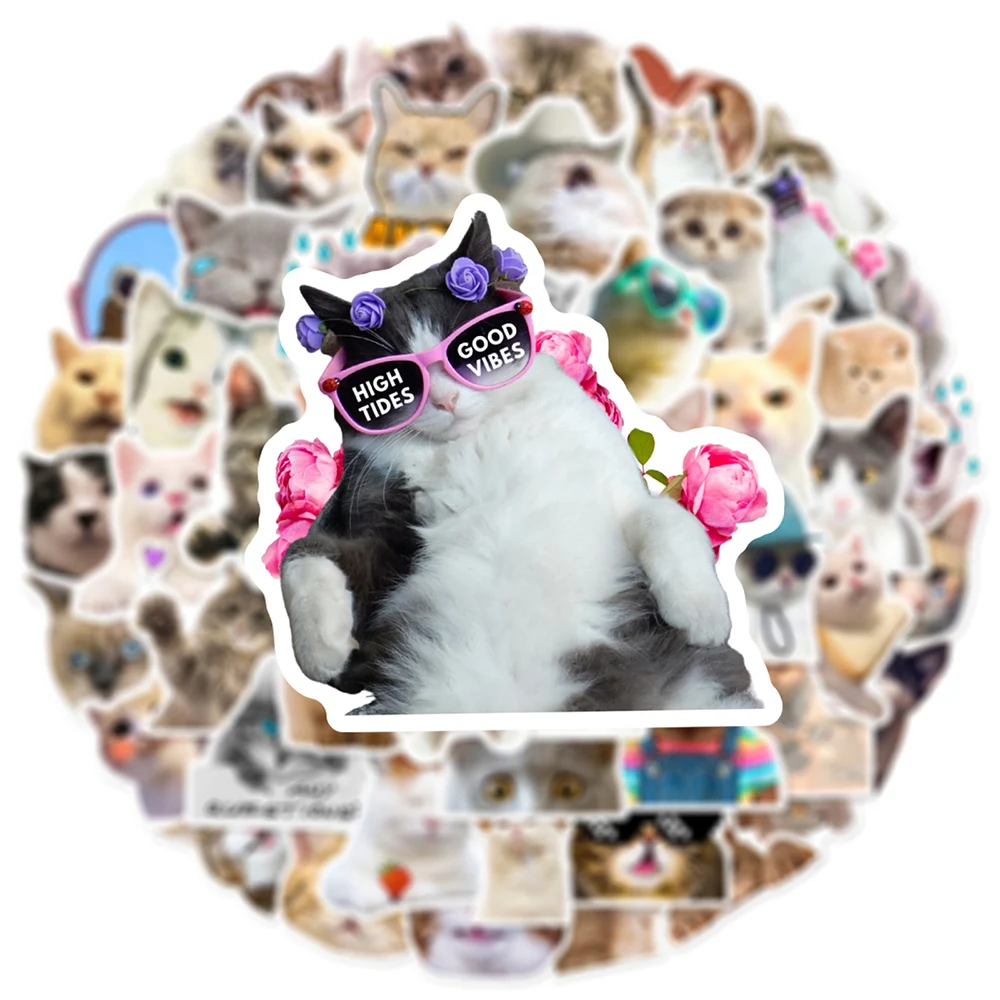 10/30/50pcs 귀여운 동물 고양이 재미 있은 새끼 고양이 MEME 낙서 스티..