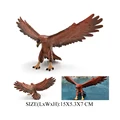 Golden Eagle