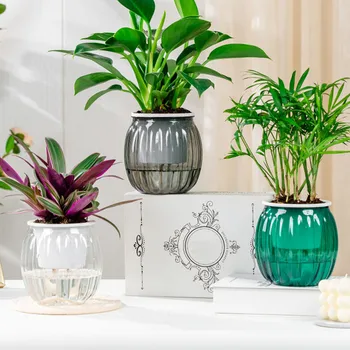 Transparent Self Watering Planters 1