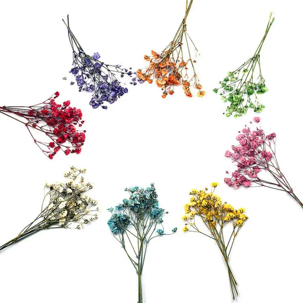 Affascinanti mazzi di fiori secchi portatile Gypsophila essiccato Bouquet da sposa Vivid Colorful Baby Breath Flowers for Home