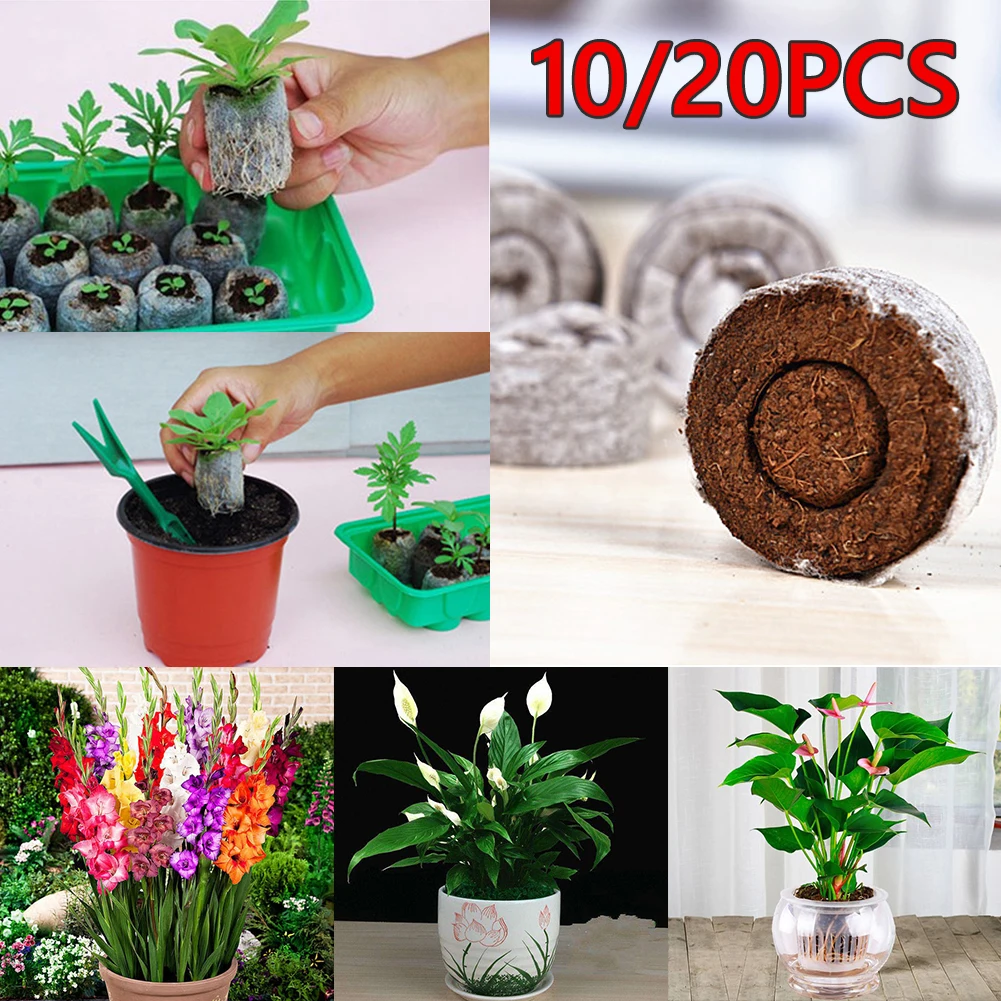 10/20pcs 30mm Peat Flower Pot Plants Molds Seeds Garden Flower Planting Soil Block Nutrient Clod Stiff Peat Pellets Easy To Use