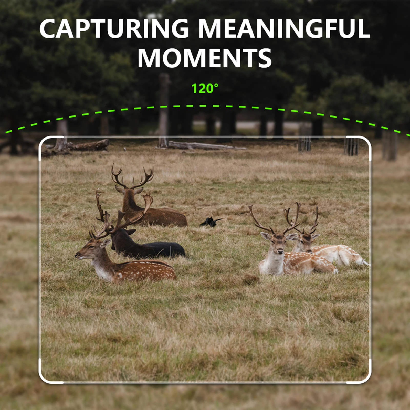 4G Trail Camera 4K Hunting Camera 60MP Photos 15M-20M Super-Fast Trigger Wildlife Camera Infrared Camera Night Vision Camera