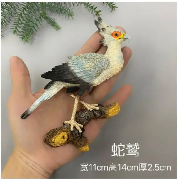Magnete Frigorifero Uccello Con Occhi Grandi E Scritta Divertente 'Lieber Egal' | Idea Regalo Sarcastica - 4