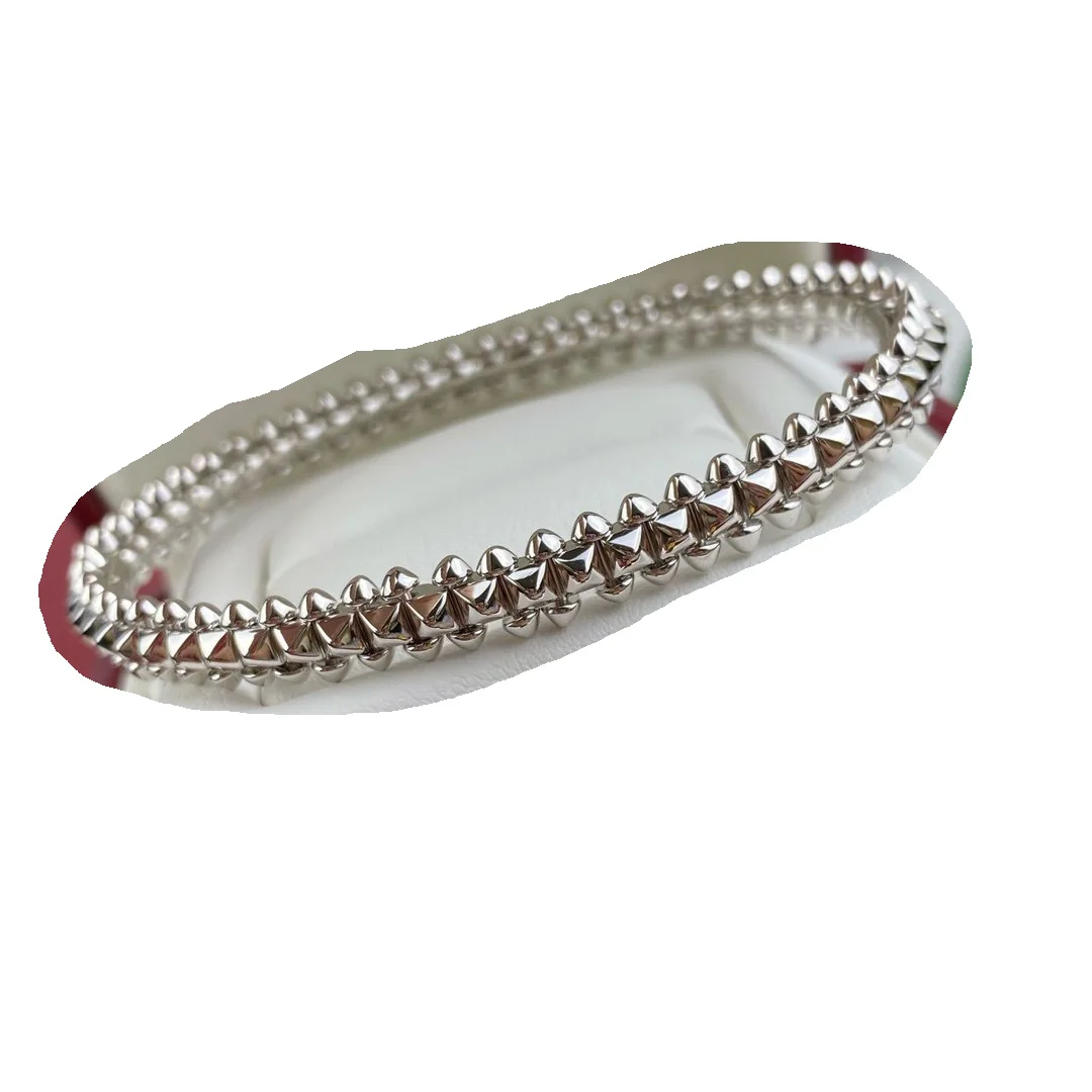 2022 Hot Trend Brand Snake Bone Bracelet Gold Rose Gold SilverEveryday Wear, Party, Birthday 