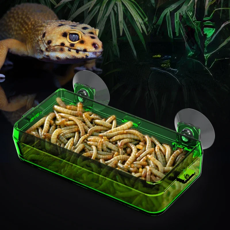 Reptile Feed Bowls Reptile Transparent Feeder Anti-escape Food Bowl Worm Live Container With Strong Suction Cups Pet Supplies