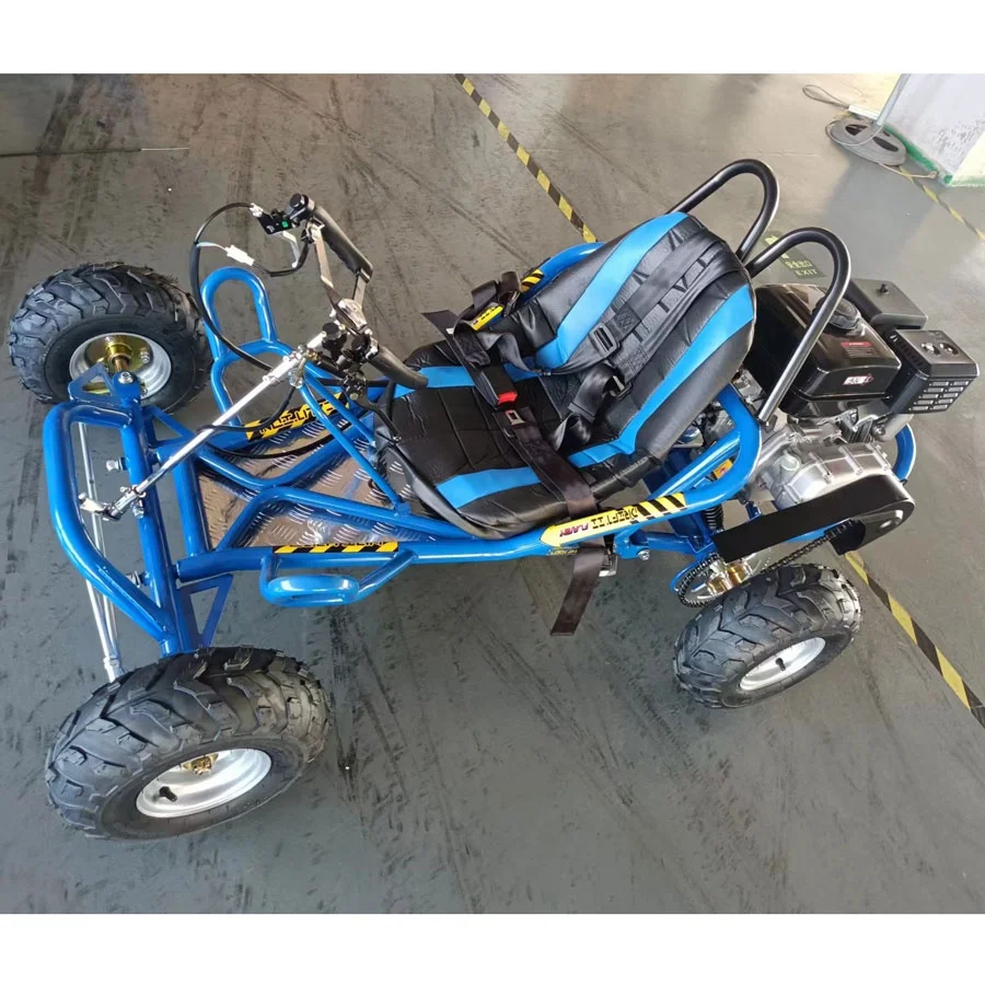 Favorable Price Outdoor Karts 196cc 45km/h Youngsters Mini Drifting Grassland Karting Buggy
