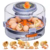 Egg Incubator with Automatic Egg Turning and Humidity Control, Intelligent Egg Incubator with Automatic Temp. Adjustment, 12 Egg 1