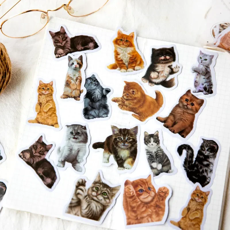 

30Pcs Cat Sulfuric acid Paper stickers Scrapbook backing handbook cute decorative stickers Diary Supplies package 125*85MM