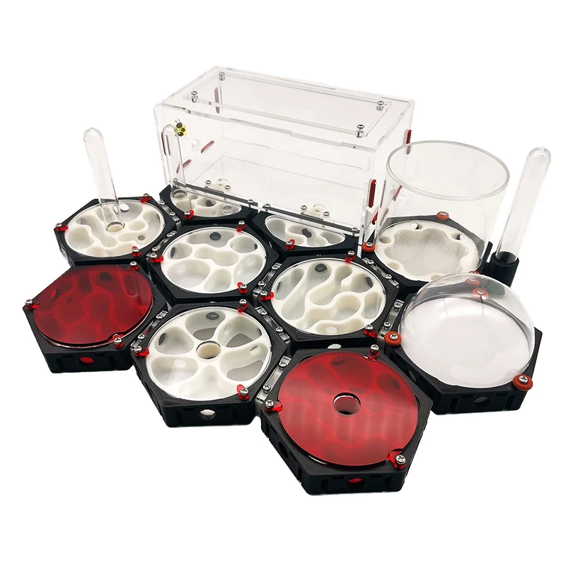 Estación espacial de granja de hormigas