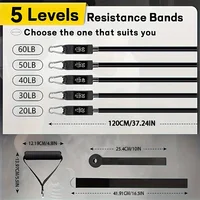 Resistance Bands Set, Exercise Bands With Door Anchor, Handles, Carry Bag, Legs Ankle Straps For Resistance Training - Image 2
