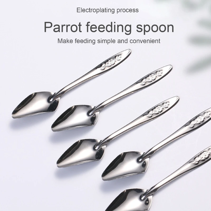 Bird Parrot Feeder Spoon Stainless Steel Milk Feeding Set of 8 Liquid Diet Feeding for Baby Birds