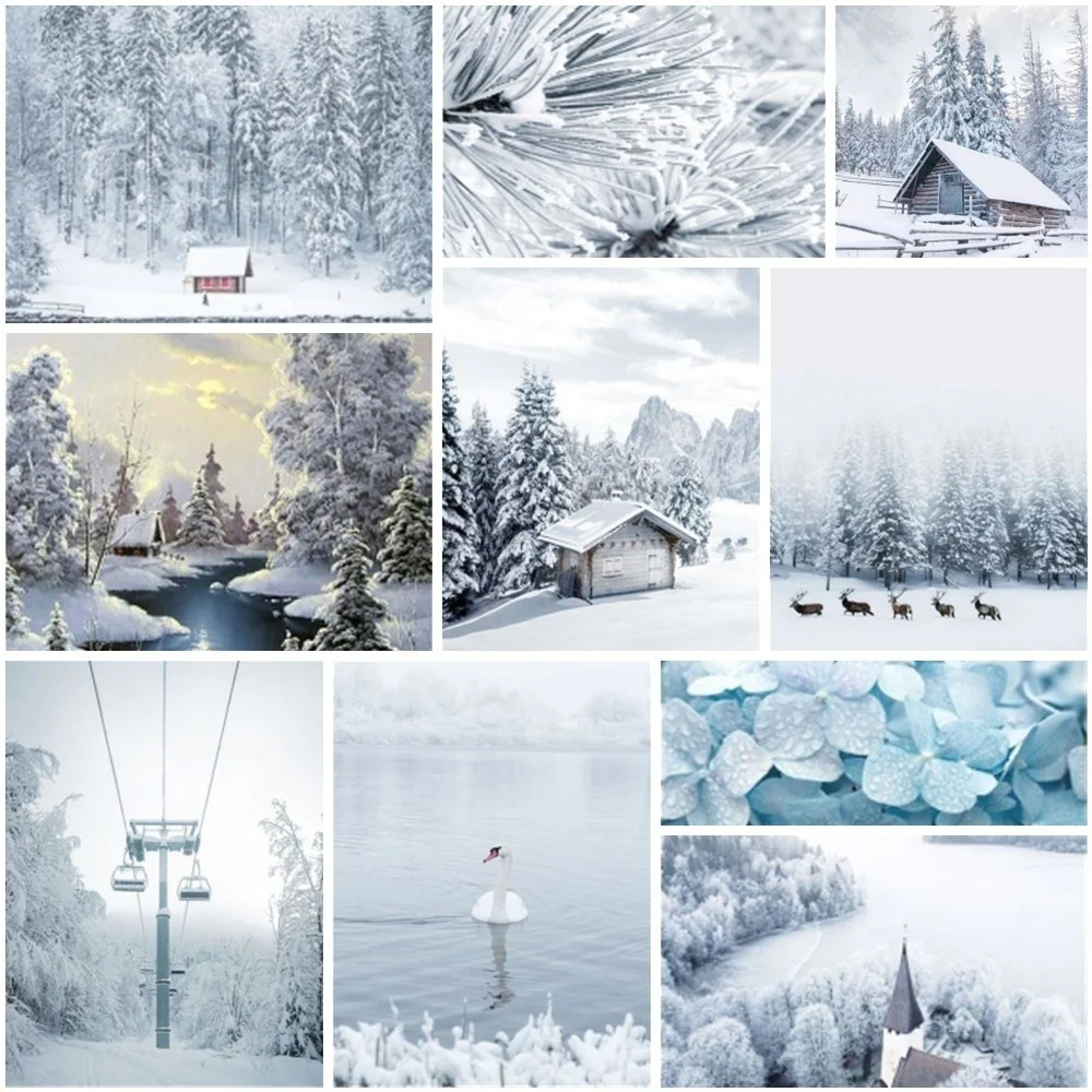 

Landscape Winter Snow Paint By Numbers For Adults Craft Kit For Adults Wall Art Personalized Gift Ideas Free Shipping 2023 NEW