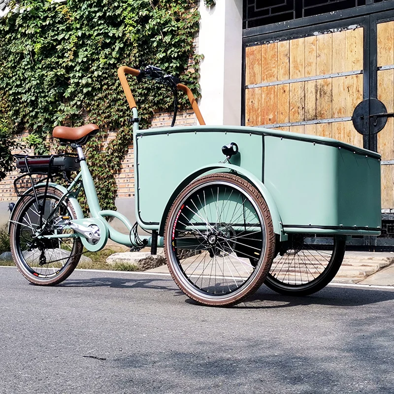 In Stock Green Color Electric Dutch Adult Tricycle Cargo Bike Street Cart to Carry Children high street style sneakers children fashion trend canvas shoes teen boy girl casual lace up flat shoes baby infant toddler shoes