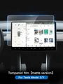 Model 3 Y -Matte