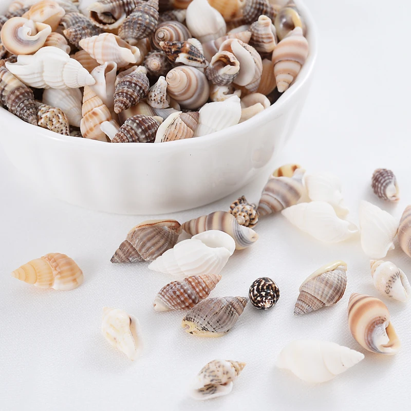 Natural Small Conch Shape Charm Shell Beads Spacer Beads For Jewelry Making DIY Fahion Necklace Bracelet Accessories natural shell ornaments