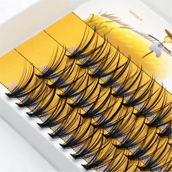 Anlinnet 20D Mink lashes 60 Bundles/Box Natural Thick Lash DIY Single Lash for Individual Eyelash Cluster Makeup Extension