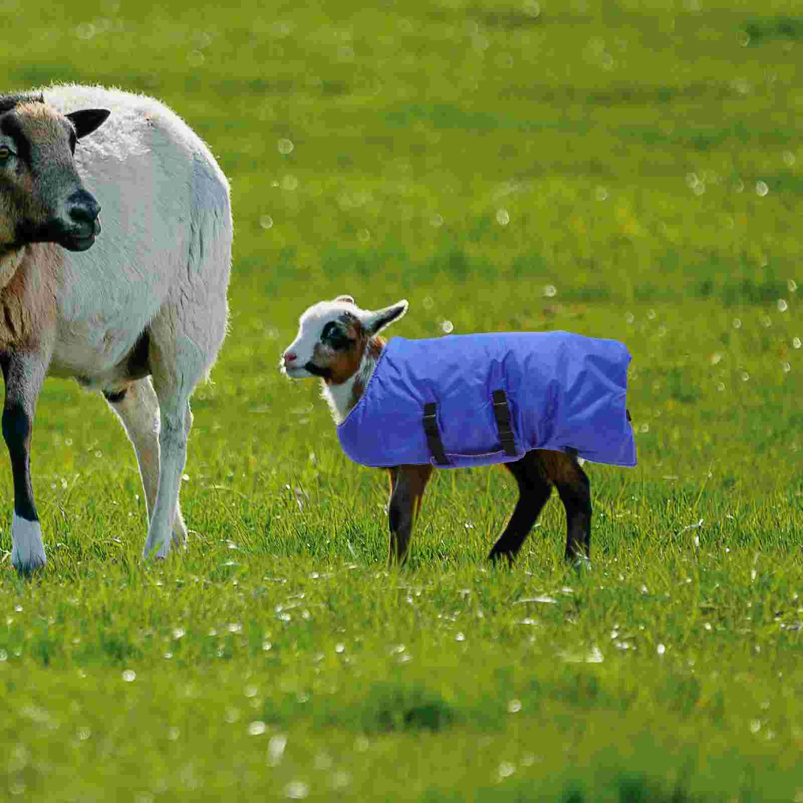 Winter Warm Calf Vest Cow Jacket Waterproof Coats Ranch Supplies Goat Clothing Horse Care Products Pasture Items Soft Materials 3