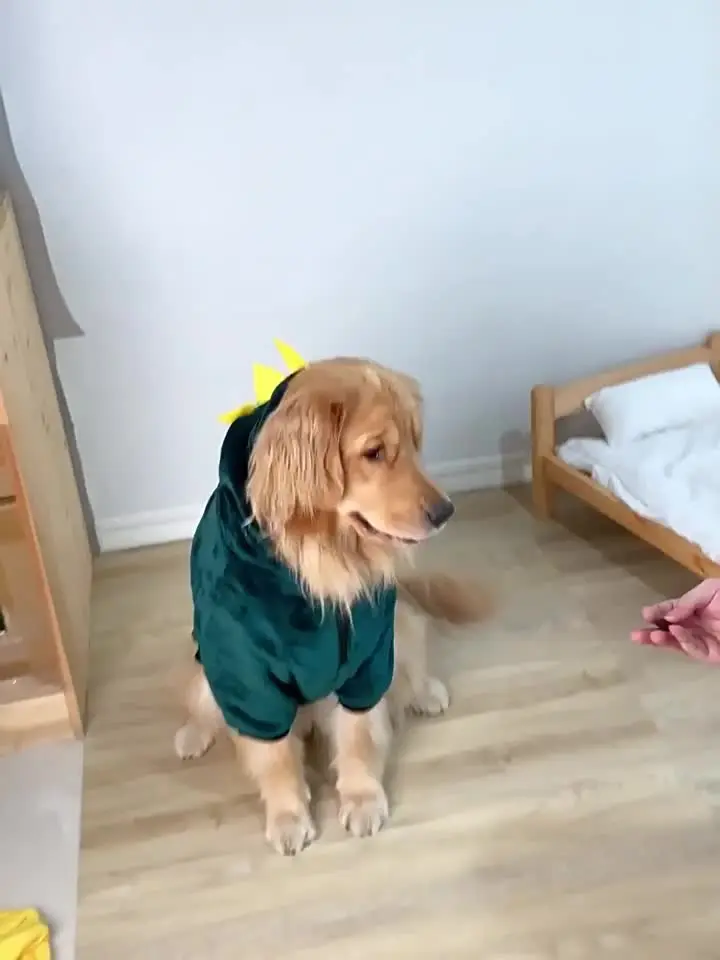 Harige warme dinosaurus kostuum voor grote hond pullover jumpsuits voor