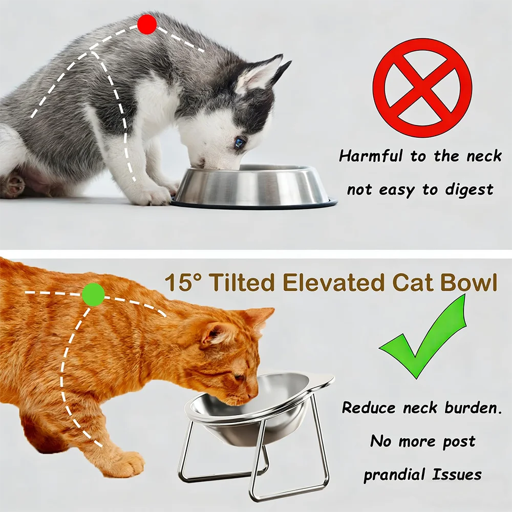 Stainless Steel Cat Bowl 3