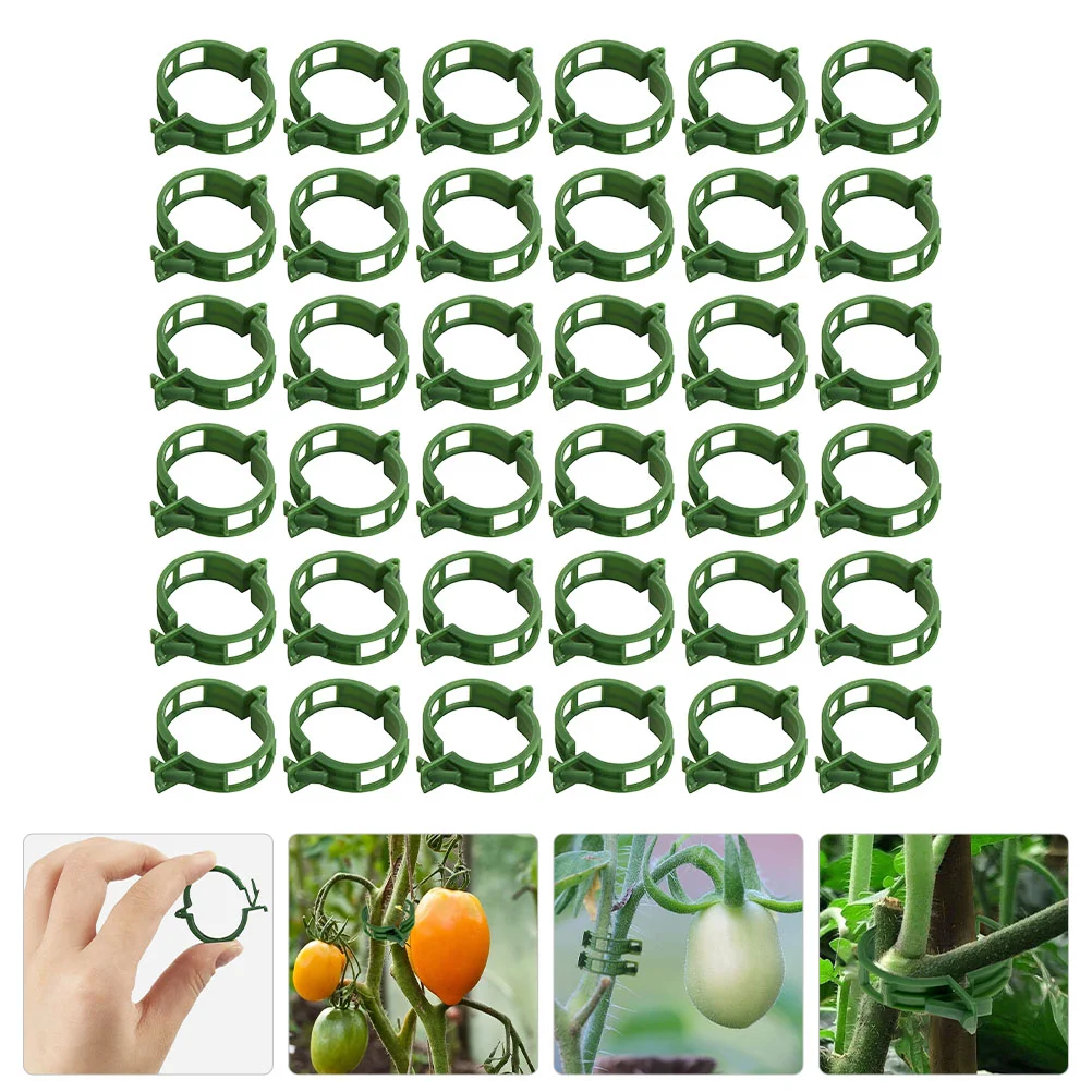 

Plastic Plant Support Clips Gardening Clamps Tomato Vine Fixing Clips