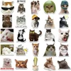 50Pcs Kawaii Funny Cat Stickers Pack Waterproof Laptop Phone Scrapbooking Motorcycle Car Korean Decal Sticker for Kids Toys 6