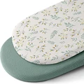 Sage green Leaves