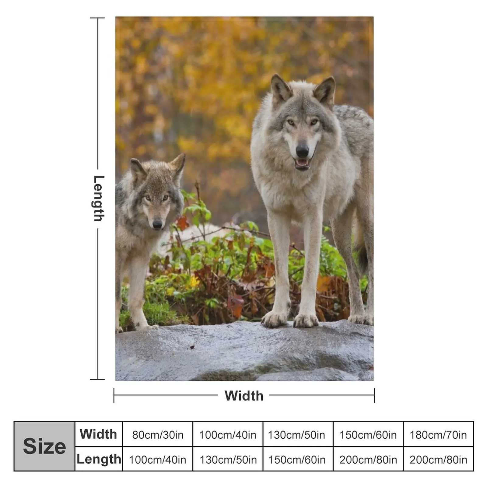 ���� ���� ������ ���, ��� �� ���