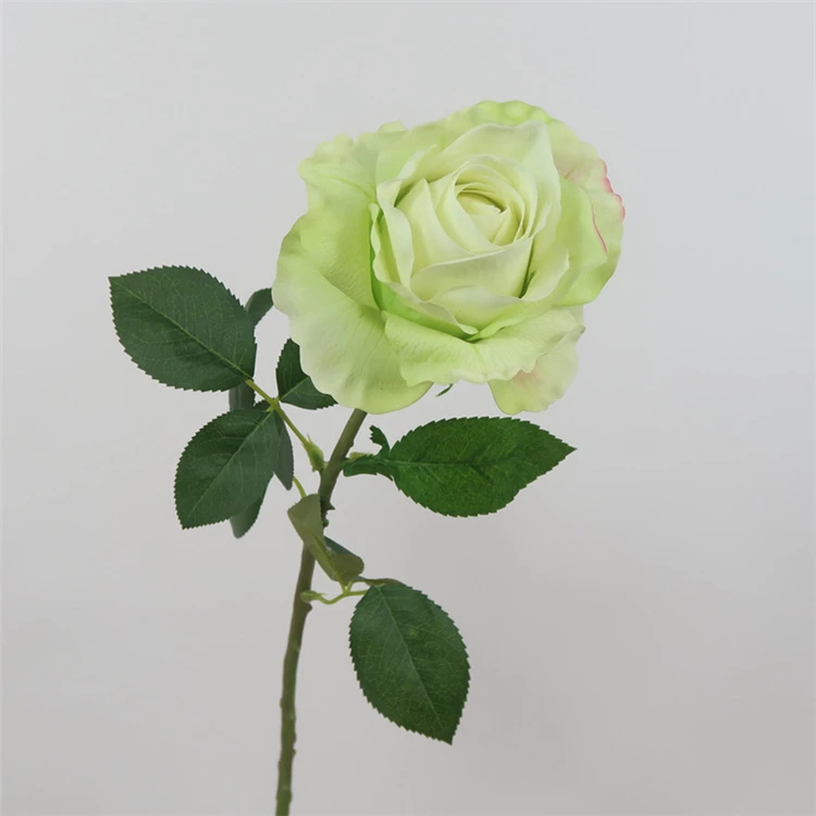 Real Green Rose