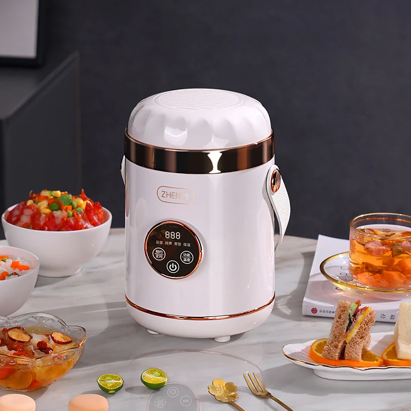 600ml Portable Rice Cooker MultiCooker Kitchen Electric Cooking Pot Slow Cooker Travel Electric Cooker Electric Lunch Box 220V