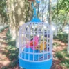 Bird Cage Toys Luminous Simulation Birdcage Birds with Singing Music Intelligent Kids Induction Operated Child 3