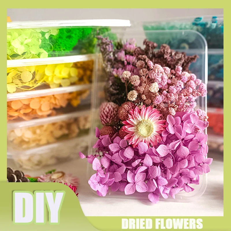 Babys Breath DIY Dried Flower Material Pack - DIY Craft Flower Specimen