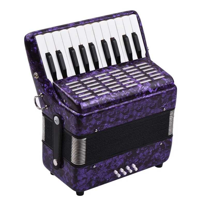 Bassklavier-Akkordeon mit verstellbarem Riemen, Tascheninstrument für Kinder, Anfänger