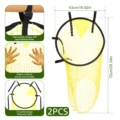 2Ps