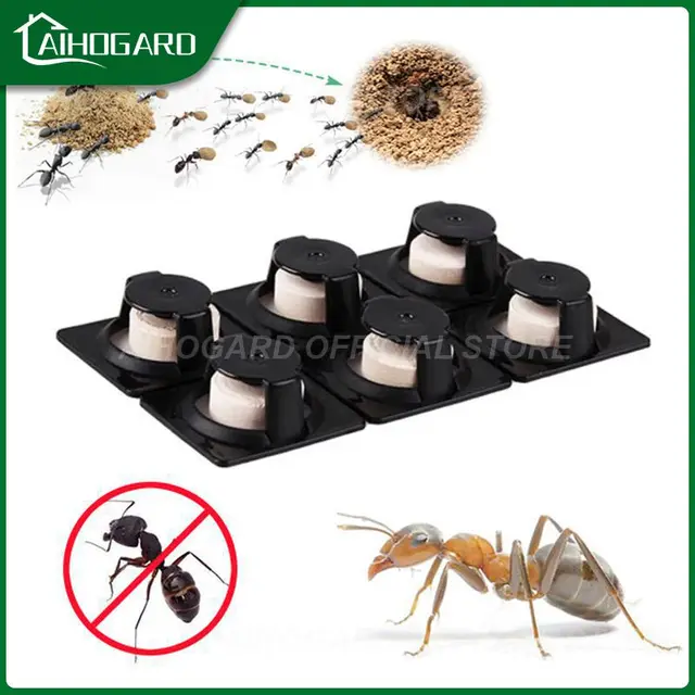 6Db Hangya Ügynök Csali Rovar Kártevő Gyilkos Por Kártevőirtás Pusztítsd El A Hangyák Taszító Társát Csapda Gyilkosság Kerti Otthon