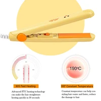 Hair Straightener Ceramic Travel Macaron Mini Curling Bar Straight Roll 2 In 1 Splint Perm Cartoon Portable Electric Curling 2