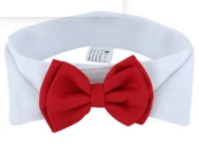 double-bow-tie