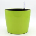 1PC Green Round