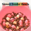 Cat Food Bowl, Rice Bowl, Slow Food, High Feet, Anti Choking Bowl, Cat Basin, Anti Choking, Anti Choking Neck, Relieve Anxiety 2