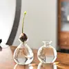 Avocado Seed Starter Vase Transparent Glass Plant Pot For Growing Plant Glass Seed Growing Vase Tool For Gardening Lover 4