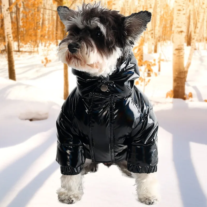 

Пуховик для домашних животных, одежда, новая зимняя Толстая теплая одежда для маленькой женской собаки, пальто для собак, куртка