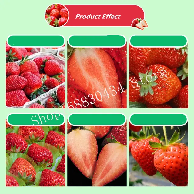 30 G Szamóca Kibővített Speciális Műtrágya Kiegészítő Növényi Táplálkozás Javítja A Minőséget És Növeli Az Otthoni Kert Hozamát - Image 6