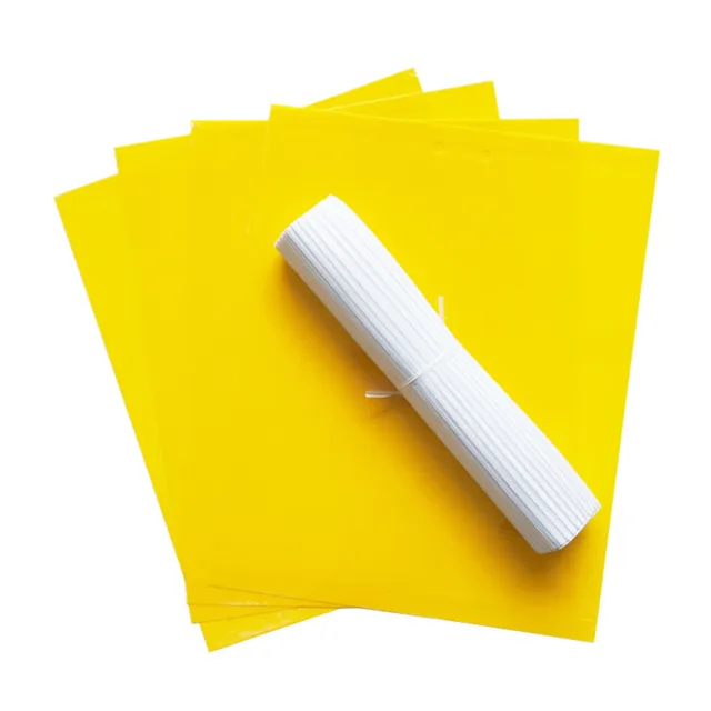 100 Db Dupla Oldalú Hadsereg Féreg Tábla Rovarindukáló Rovarirtó Üvegházak Sárga Kék Kertészeti Nagy Spray - Image 3