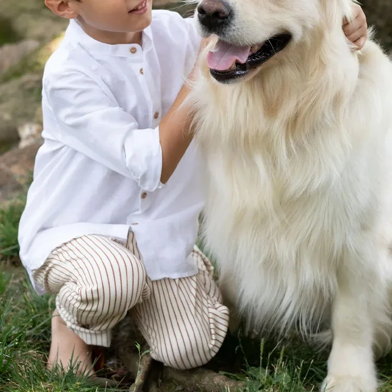 Boys White Linen Shirt 2025 Spring New Children's Stand-Up Collar