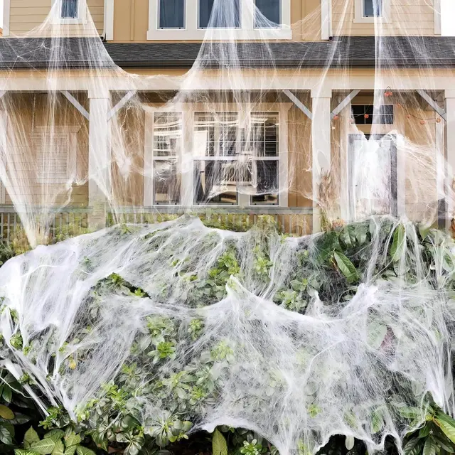 2PCS Halloween Spider Web Set 1