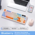 Blueberry Pink kit