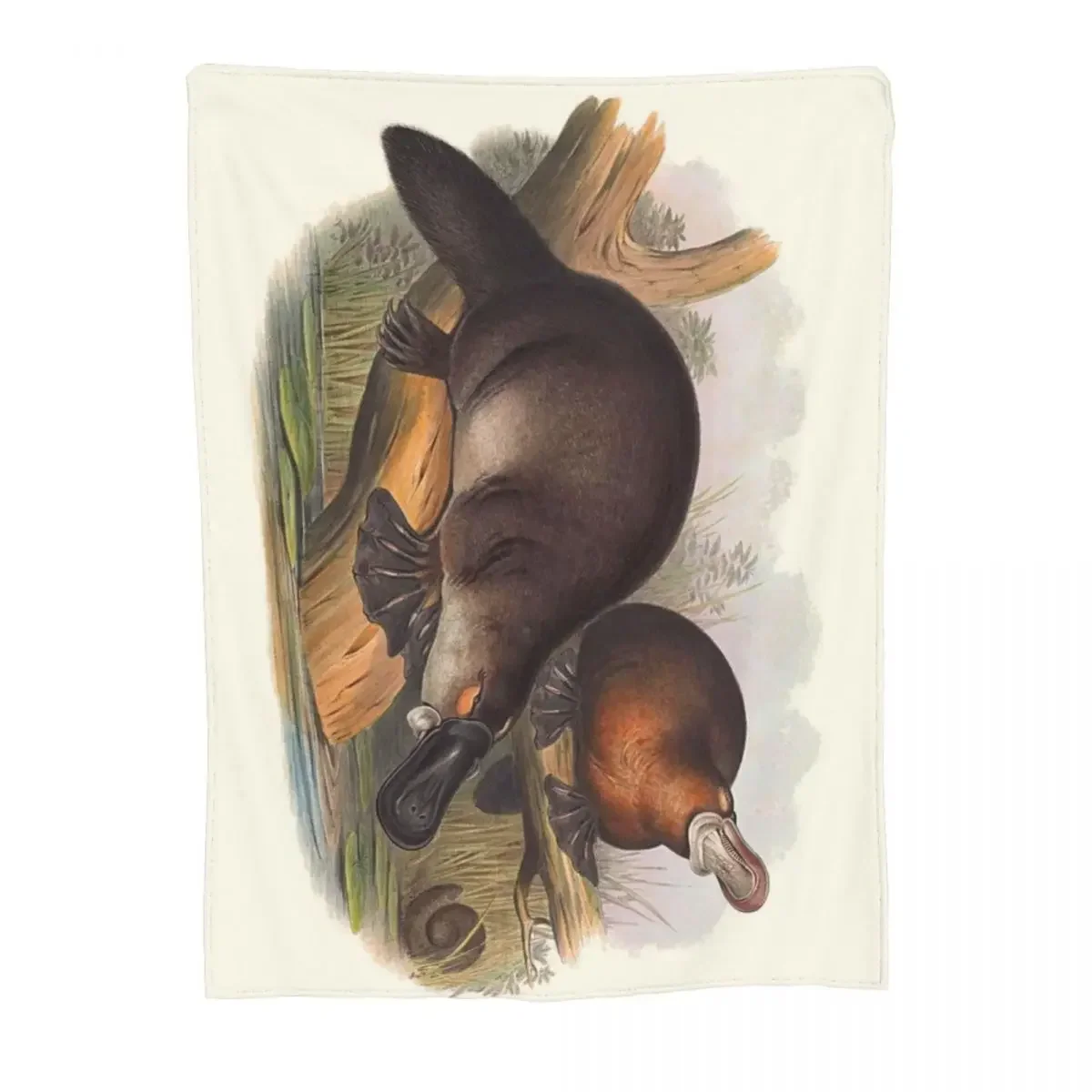 Animals Of Australia The Duck Billed Platypus Throw Blanket