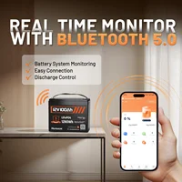 Batterie LiFePO4 Humsienk 12V 100Ah avec BMS 100A et Bluetooth, 15000 cycles, batterie au phosphate de fer et de lithium pour stockage d'énergie solaire domestique 2