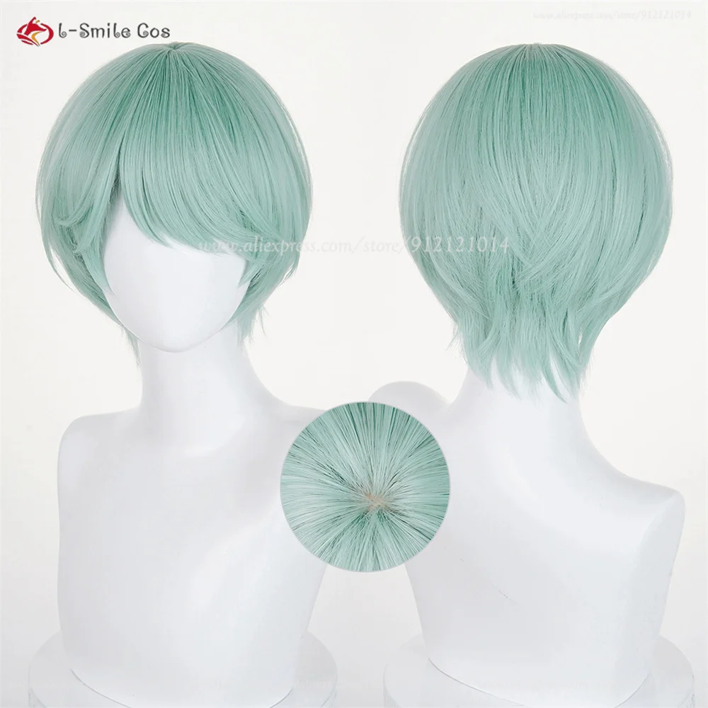 Anime Cosplay Wig Image 15