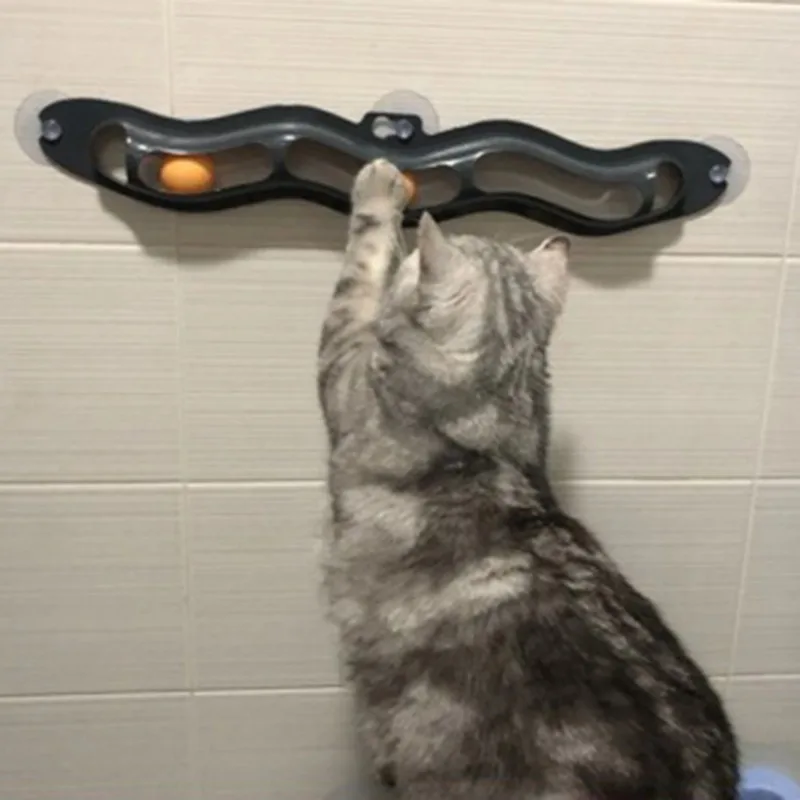 New Track Cat Toy Plastic Sucker Track Ball Pet Accessories Window Table Tennis Adsorption Glass Cat Toy Funny Cat Toys Pet Toys